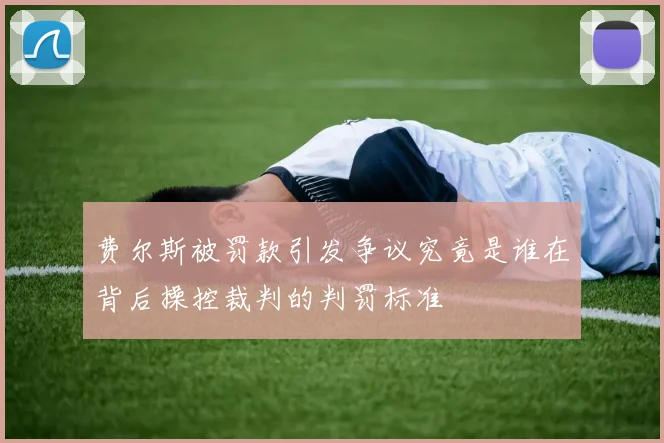 费尔斯被罚款引发争议究竟是谁在背后操控裁判的判罚标准